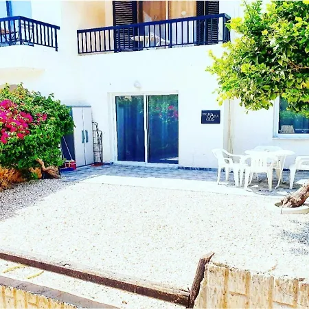Daire Prima Casa 005